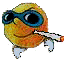 Brugeravatar
