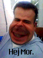 Brugeravatar